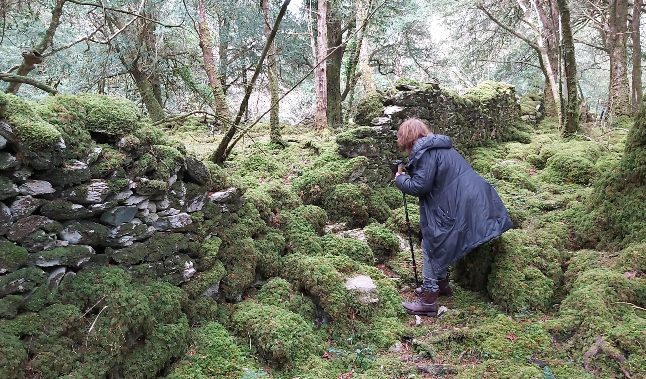 A woman hiking in a moss overgrown forest, during an outdoor rite of passage for women in the rugged Irish wilderness.